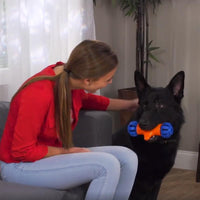 Mobile Automatic Dog Toy