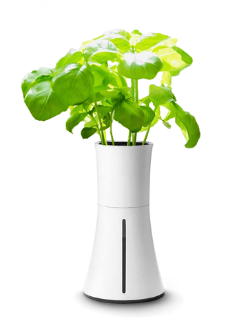 室内で育てる水耕栽培キット Botanium 肥料 植え替えに関するq A