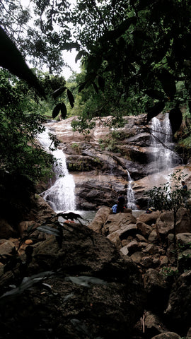 Kodayar Waterfalls