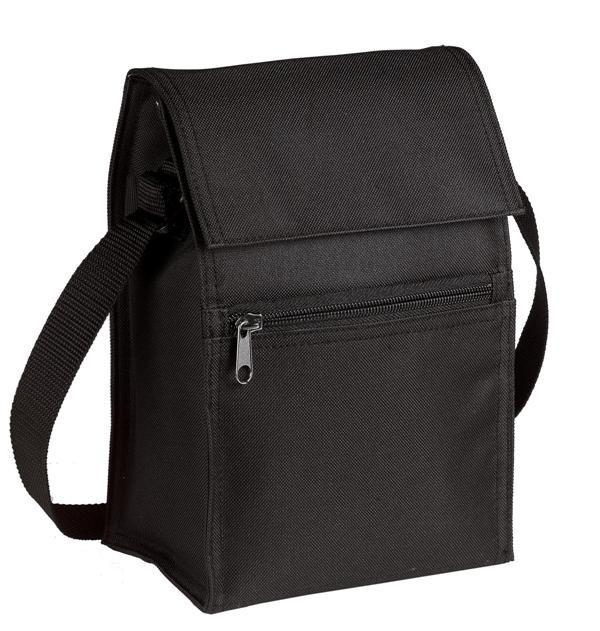 Insulated Economical Lunch Cooler BAG