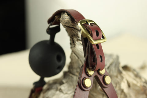 A leather ballgag head harness is pictured draped over a piece of driftwood. 