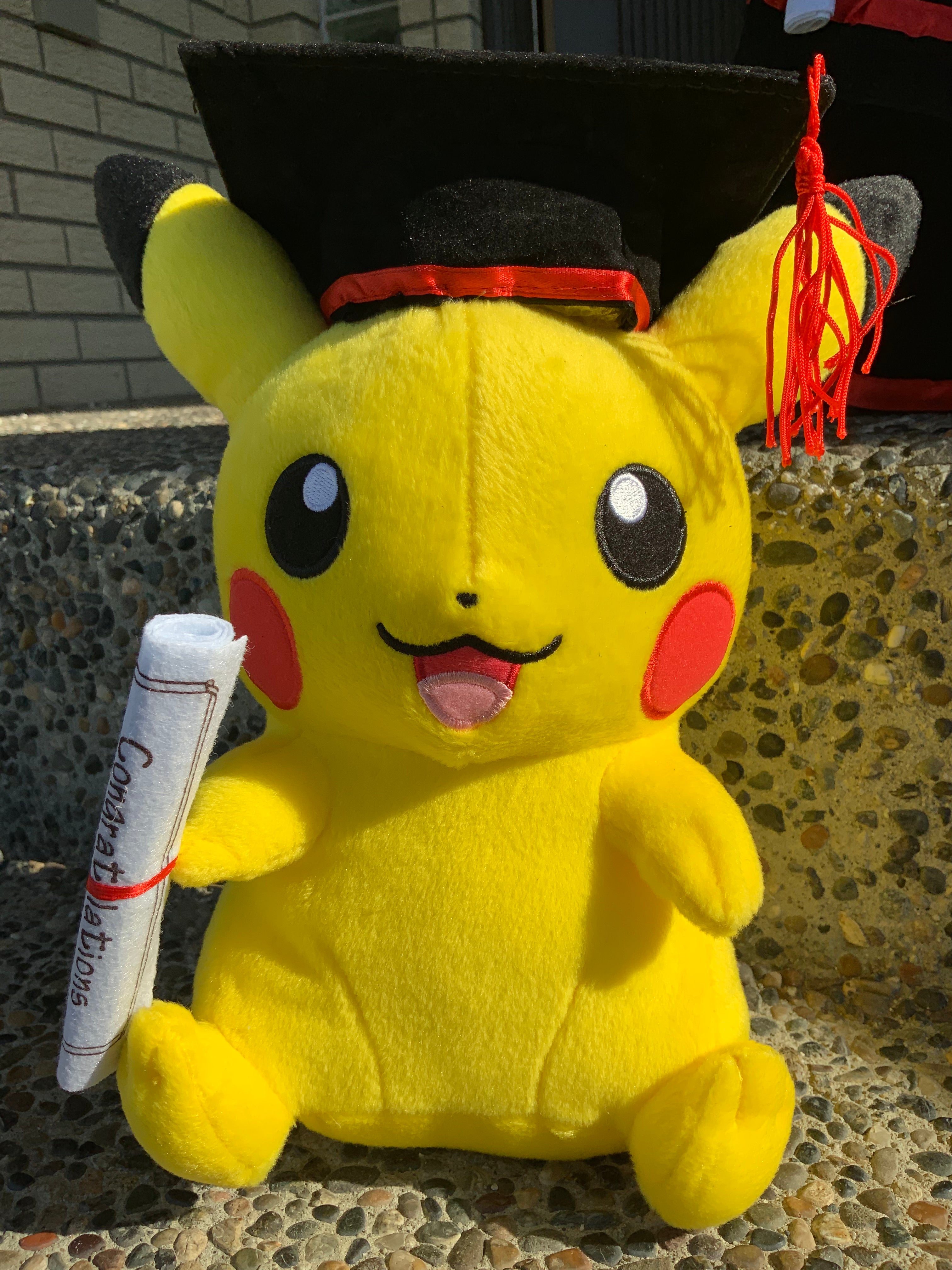 pikachu graduation plush