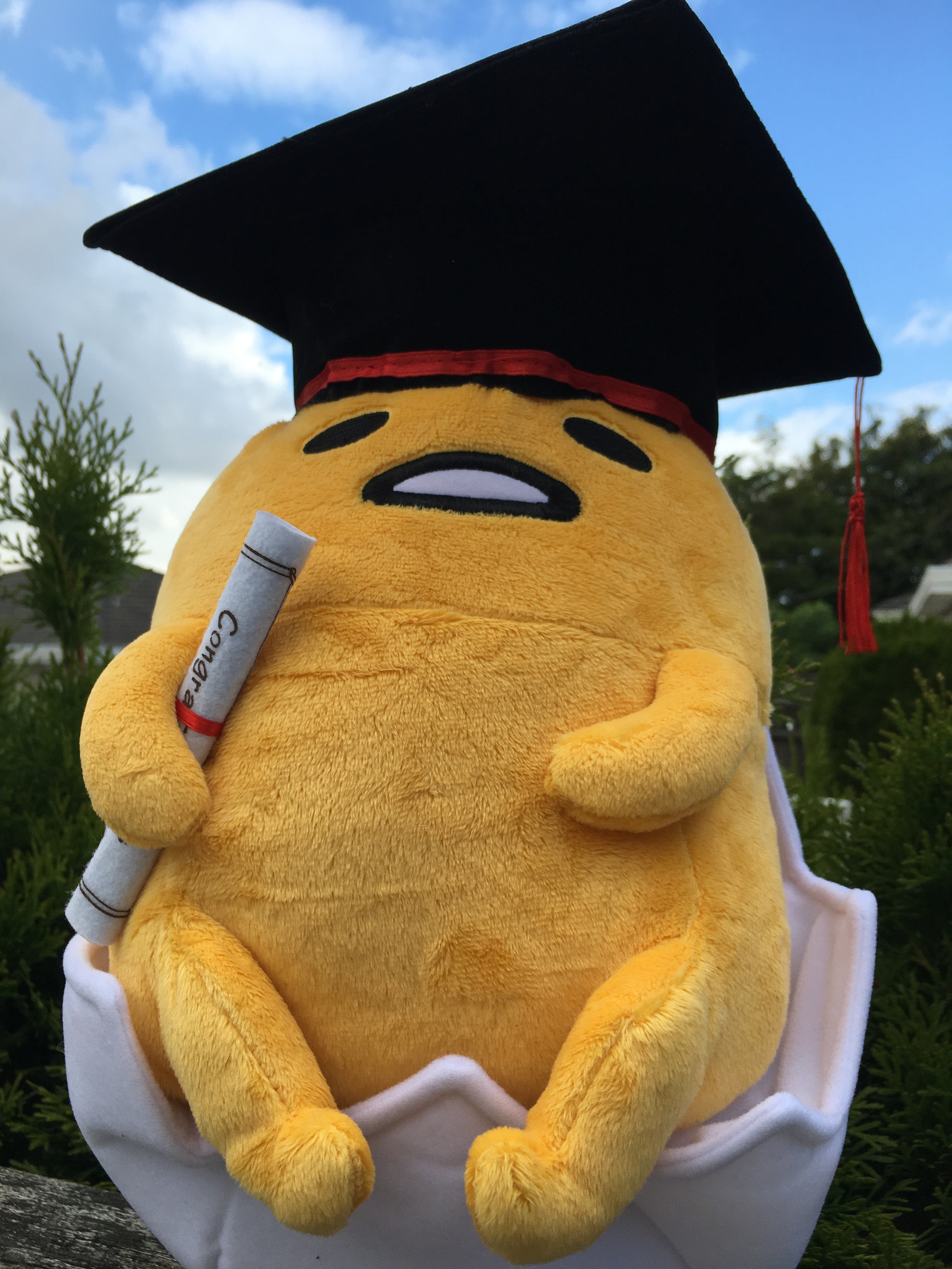 gudetama graduation plush