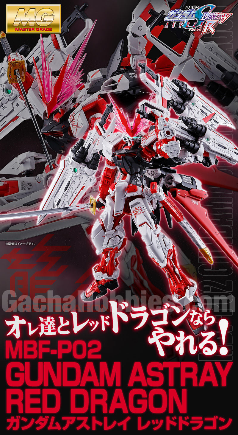 Mg 1 100 Mbf P02 Gundam Astray Red Dragon Limited Pre Order Gacha Hobbies