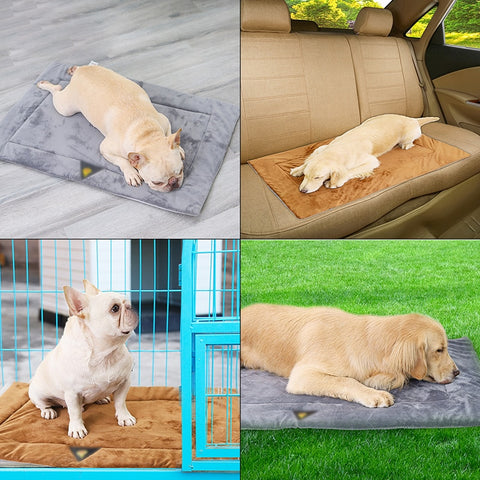 Family Pooch - Self-heating dog mat