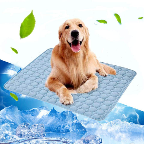 blue color puppy cooling mat