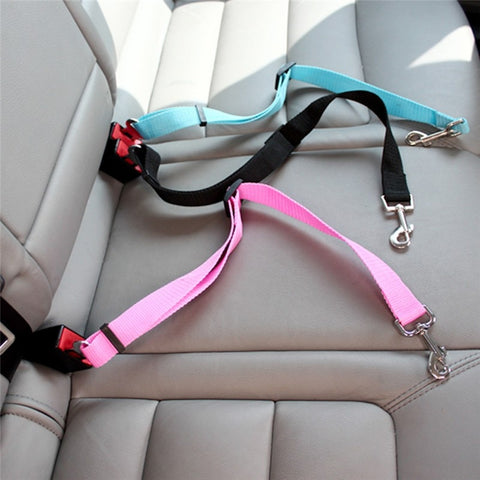 light blue, black and pink color dog seat belts