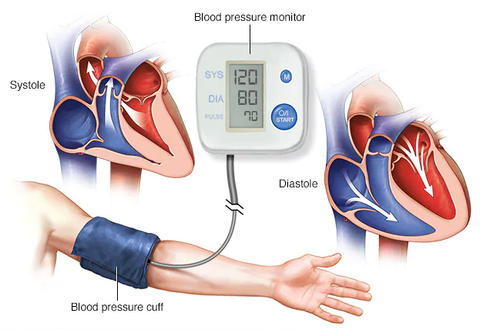 best blood pressure supplement