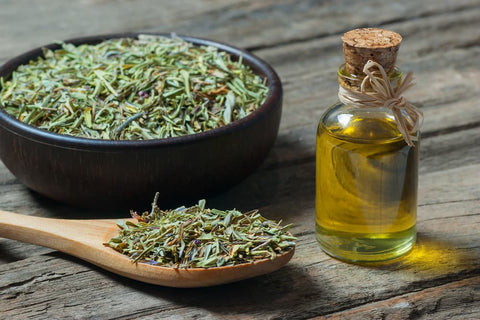 organic oregano oil supplements