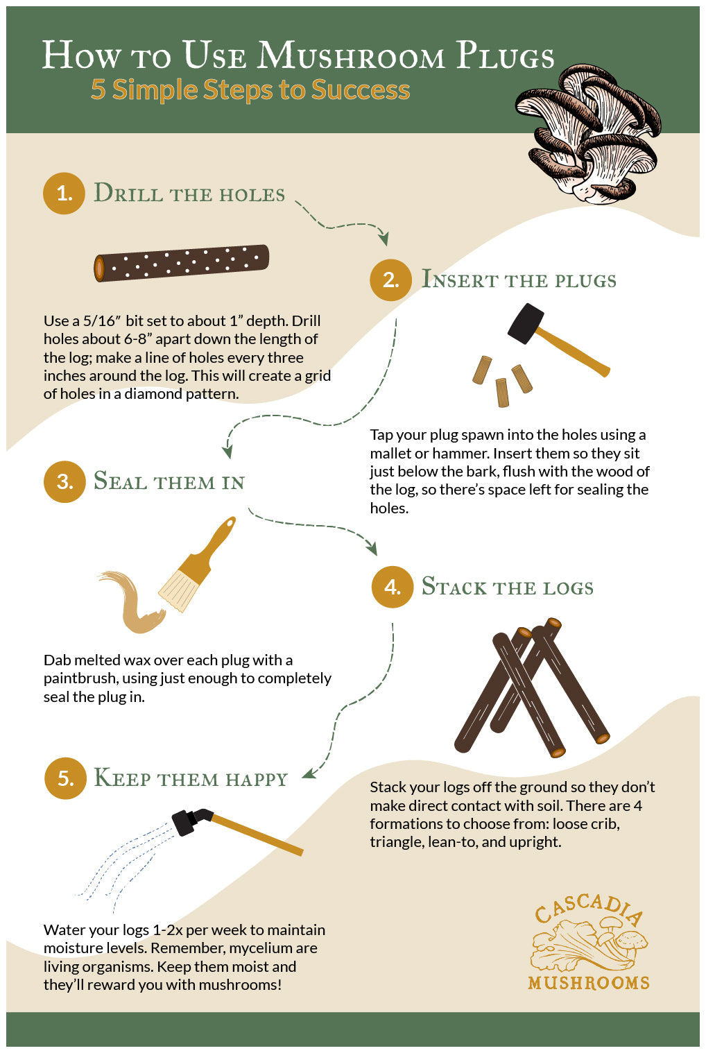 Learn how to grow organic mushrooms using mushroom plugs with this infographic. 