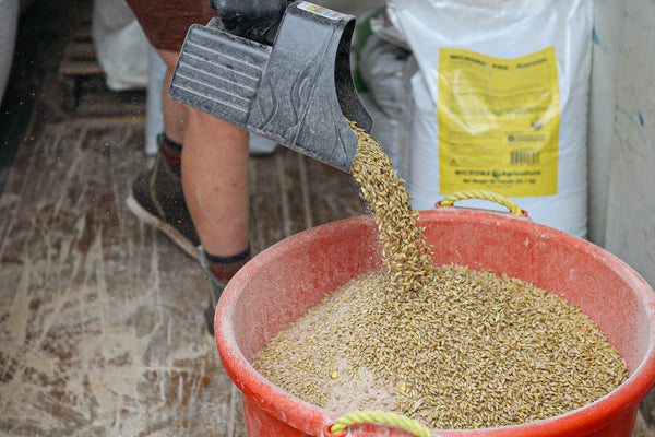 Mixing organic substrate for mushroom farming