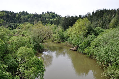 Coquille River