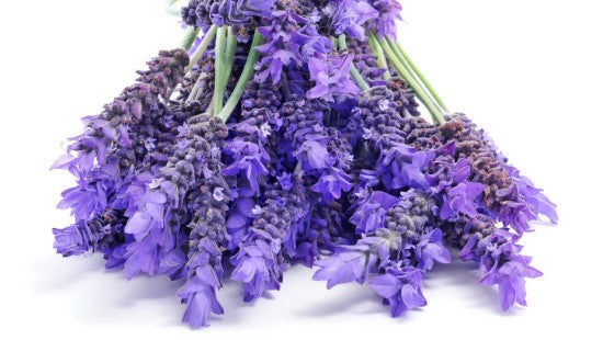bundle of lavender for skin issues