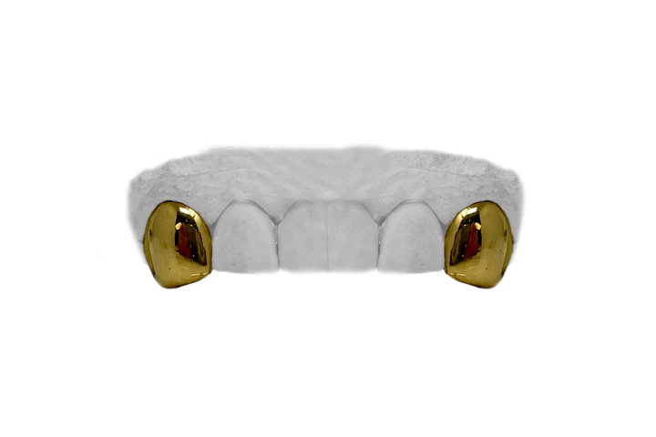 Top two fang 24k gold grillz