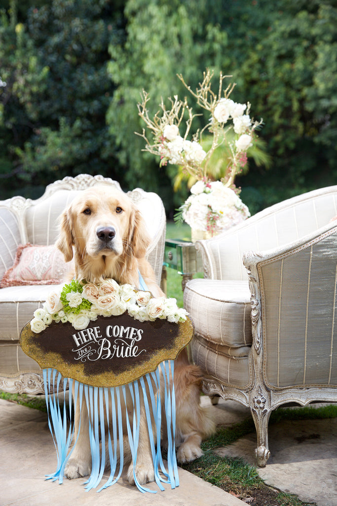 Sparkler Sign