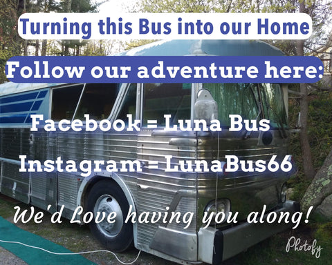 Luna Bus 