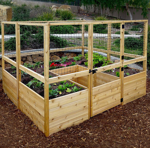 outside view of Garden in a Box with Deer Fence 8×8