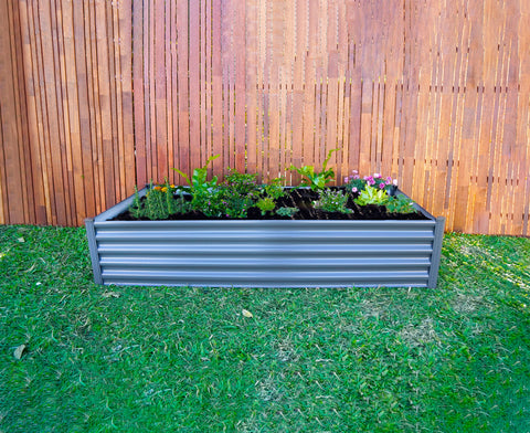 The Absco Organic Garden Co 6x3 Metal Garden Bed with plants placed in a backyard setting.