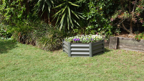 The Absco Hexagonal 3.28 ft Metal Garden Bed with plants in a backyard.