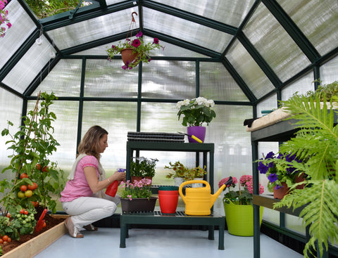 A woman inside a Canopia Hobby Gardener 8' Greenhouse, watering plants.