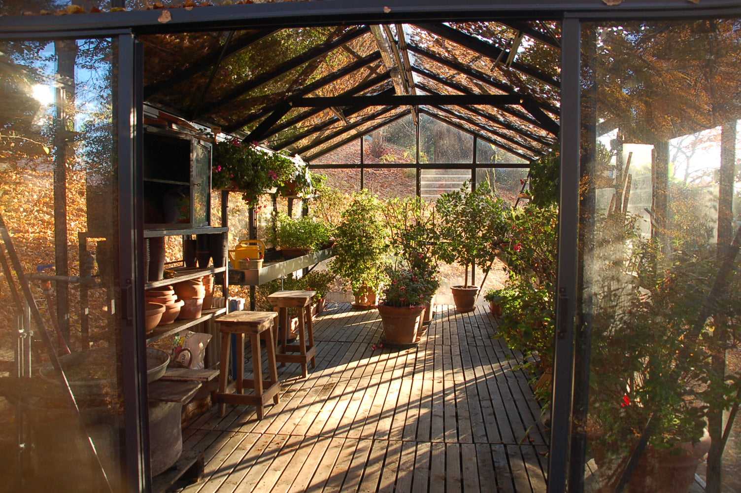 internal greenhouse full of plants and stools for 