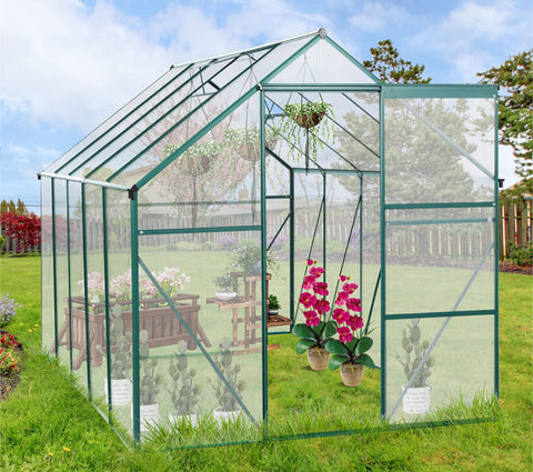 GLANZEND 6x10 FT Polycarbonate Greenhouse with plants inside