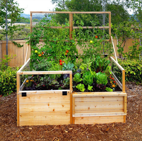 Garden in a Box 6×3 with Lid / Trellis with plants