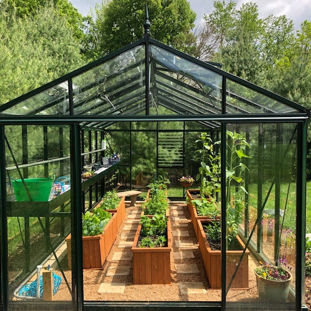 Lush and organized interior of a VI 36 Victorian Royal greenhouse, showcasing an array of raised wooden garden beds flourishing with a variety of plants, under the clarity of a sun-drenched transparent roof.