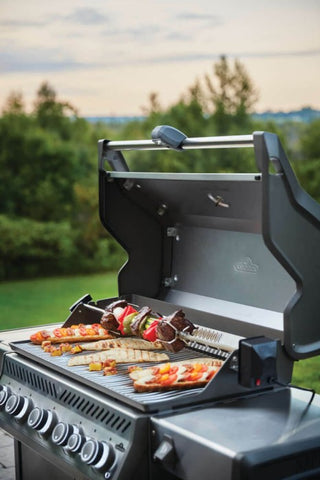 Close-up of grilled vegetables and meats on the Napoleon Grills Rogue SE 625 RSIB Grill, highlighting the grill marks and vibrant colors.