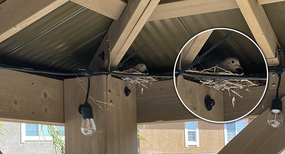 a bird on its nest on a corner of a gazebo with string lights