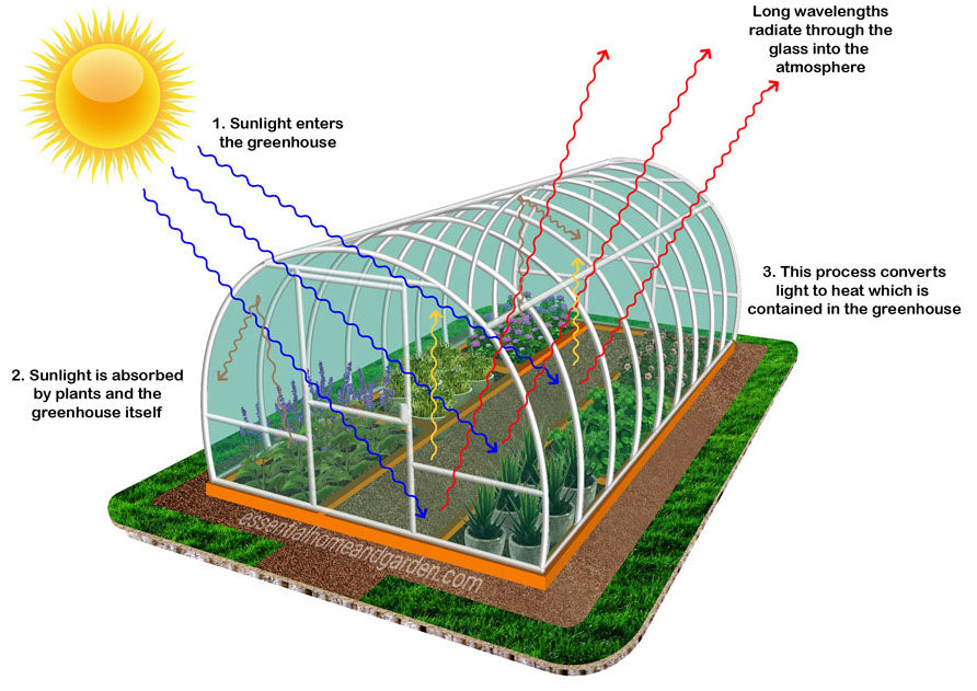 a visual of how greenhouses work