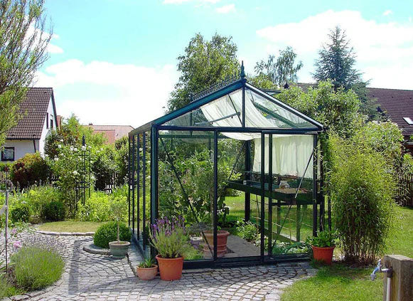 an actual image of the Exaco Janssens Royal Victorian VI Greenhouse VI 23 surrounded by plants