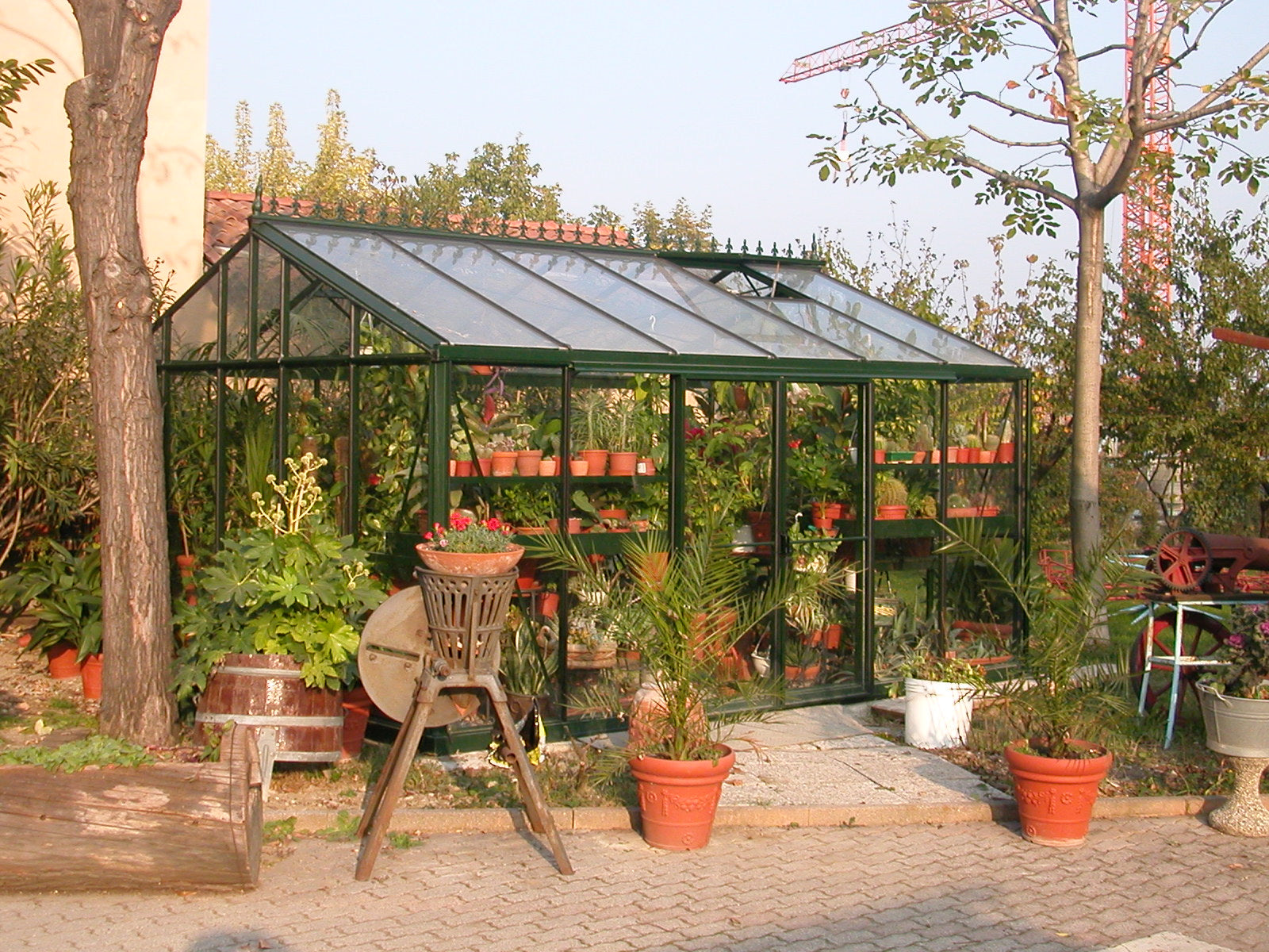 The Exaco Royal Victorian VI46 Greenhouse surrounded by potted plants and rustic garden furniture in a lush garden setting