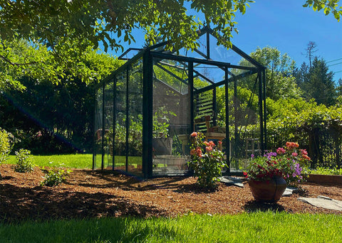 A modern Exaco Janssens Royal Victorian VI 23 greenhouse with a sleek design, surrounded by colorful flowers in a sunny backyard.