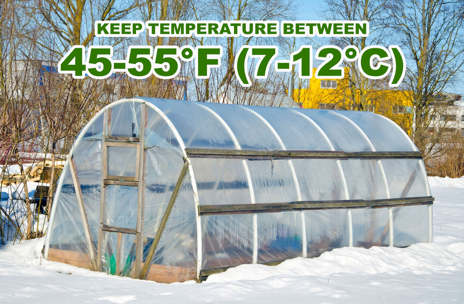 an image of a greenhouse during winter