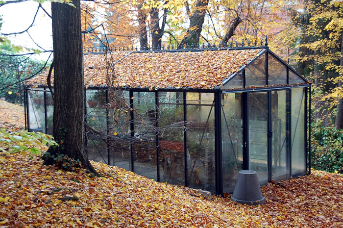 A Royal Victorian greenhouse surrounded by autumn foliage, covered in fallen leaves, showcasing its elegant design and seasonal charm.