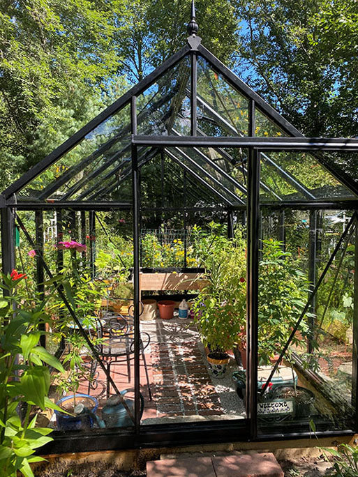 A black Victorian-style greenhouse made of glass and aluminum with a steep roof and sliding double doors, filled with lush plants and a brick path.