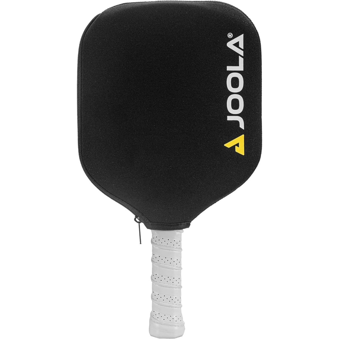 PickleballPaddles 2024 01 12T104156.412