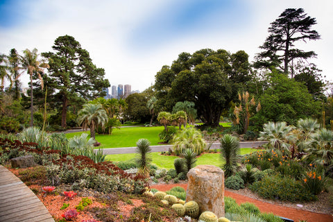 description_image_royal_botanic_gardens.png