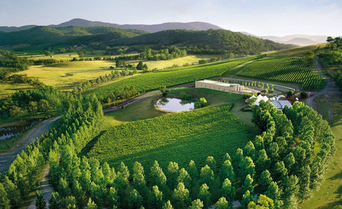 description_image_yarra_valley.png