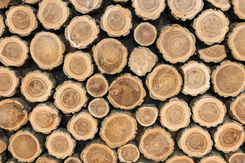madera de abeto o pino