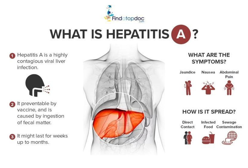 hepatitis a transmission blood