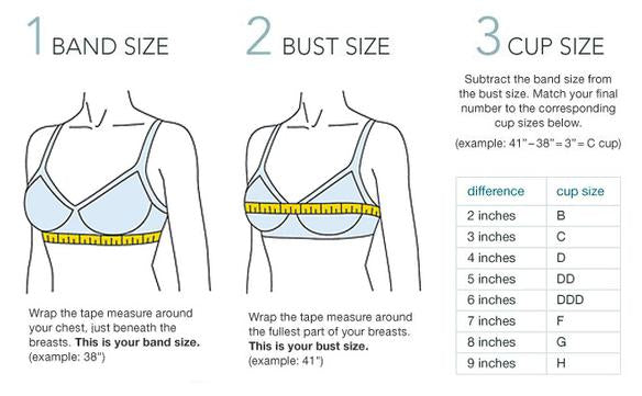 Bra Size Chart - How to meausre your bra size 
