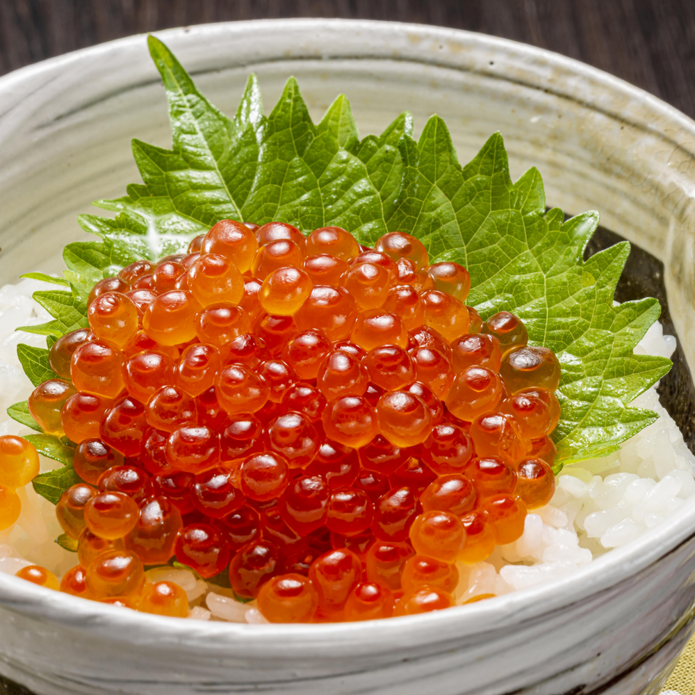 SAKANA Singapore | Japanese Seafood | Ready To Eat