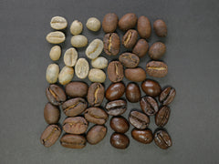 Four different coffee bean varieties arranged in a square.