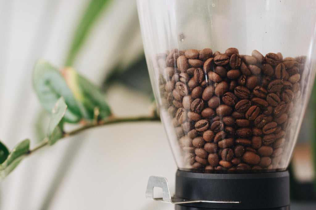 Coffee beans in a coffee grinder.