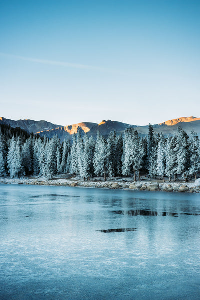 Frosted lake with snowy trees.