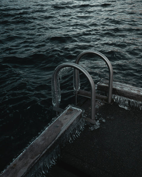 Ladder frozen over on lake dock.