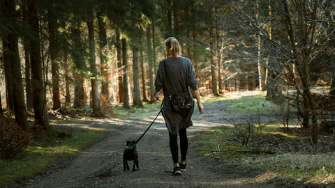 Woman walking dog in woods.