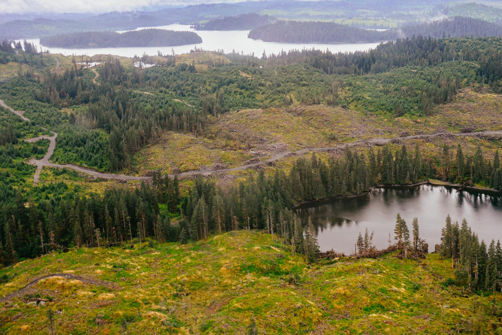 Example Forrest Mangement Project in Afognak, Alaska by Pachama 